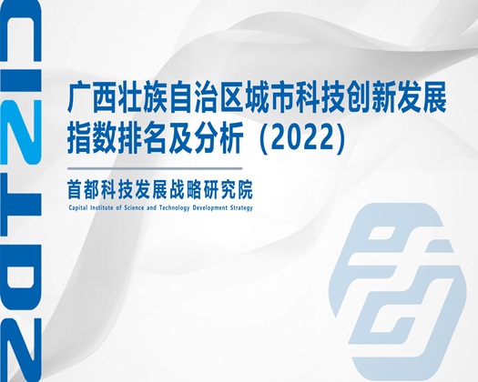 操骚逼有字幕【成果发布】广西壮族自治区城市科技创新发展指数排名及分析（2022）